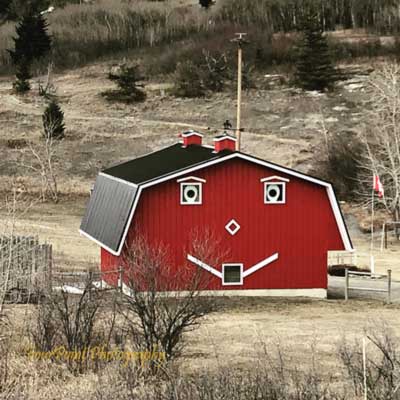 FourPoint Photography, Barn, happy face